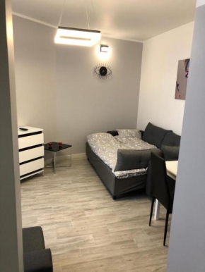 Apartament Krauthofera